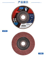 圣戈班诺顿 银熊白业碟 100*16 箱 100*16 氧化铝 16mm 100mm 80m/s     13000rpm 1*300  