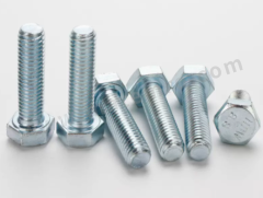 金盾 螺丝杆 SXJBD20229015 个 304不锈钢 未处理 20*80mm  