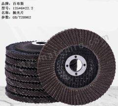 百布斯 抛光片  个  