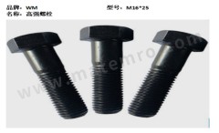 WM 高强螺栓 WM-M16*25 个  