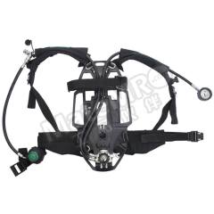 梅思安 呼吸防护 10165420 套  