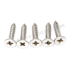 奥展 十字槽沉头自攻螺钉(H型) 2110706-3005500000 包 不锈钢304 本色 55mm ST6.3  