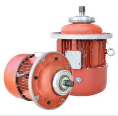 凌宸 三相异步振动电机 YD2-160M-8/4 5.0/7.5kW 13.9/15.2A JB/T 5330 台 380v 18A 7.5KW 1400转  