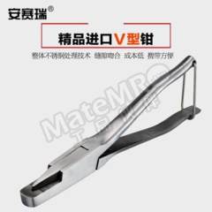 安赛瑞 不锈钢耳缺钳 510548 个  