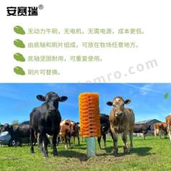 安赛瑞 立式牛体刷 540073 个  