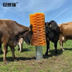 安赛瑞 立式牛体刷 540073 个  