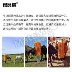 安赛瑞 立式牛体刷 540073 个  