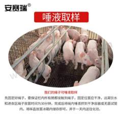 安赛瑞 猪唾液采集绳 510559 包  
