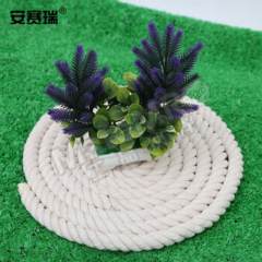 安赛瑞 猪唾液采集绳 510559 包  