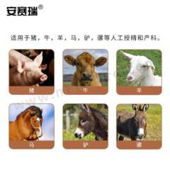 安赛瑞 兽用一次性长臂手套 510419 包  