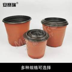 安赛瑞 一次性双色盆栽 530552 包  