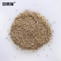 安赛瑞 草坪种子 531064 包  