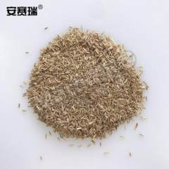 安赛瑞 草坪种子 531064 包  