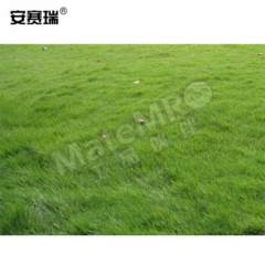 安赛瑞 草坪种子 531064 包  