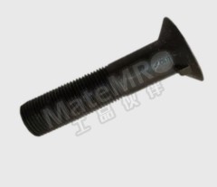 WM 沉头带榫螺栓 WM-M30*110 个  