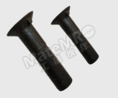 WM 沉头带榫螺栓 WM-M30*110 个  