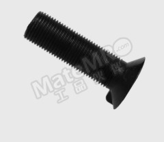 WM 沉头带榫螺栓 WM-M30*110 个  