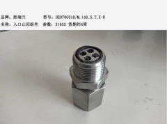 胜瑞兰 入口止回组件 HE070G010/M.148.S.T.X-R 个  