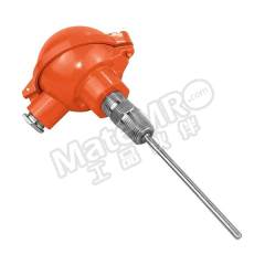 阳语 带线盒无数显热电阻 YTRSFN/TMT182/6mm/700mm/G0.5/-30~250℃ 支  