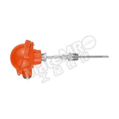 阳语 带线盒无数显热电阻 YTRSFN/TMT182/6mm/700mm/G0.5/-30~250℃ 支  