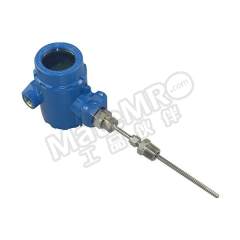 阳语 带数显热电阻 YTRCFN/644/3mm/700mm/M27*2/-200~600℃ 支  