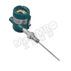 阳语 带数显热电阻(带弹簧需配护套) YTRCSN/644/6mm/500mm/NPT0.5/-30~250℃ 支  