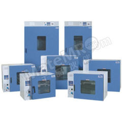 一恒 9000系列鼓风干燥箱 DHG-9920A 台  