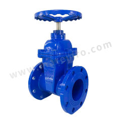 FGO 软密封闸阀 ZF-DN100 个 水 法兰 铸铁 压力 1.6MPA DN100  