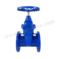 FGO 软密封闸阀 ZF-DN60 个 水 法兰 铸铁 压力 1.6MPA DN60  