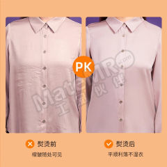 美菱 手持挂烫机 MIG-LC1201 个 通用 不锈钢 245*111*133mm  象牙白