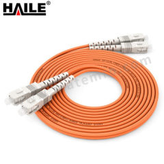 海乐 光纤跳线 HJ-2SC-SC-MD3 条 2芯 多模千兆 3米  