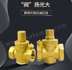 海斯迪克 减压阀 JYF-025 个 水 插入 铜 电磁 DN25 1.6Mpa  