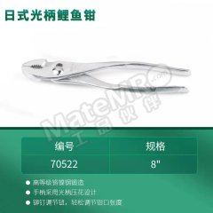 世达 光柄鲤鱼钳 70522 个  