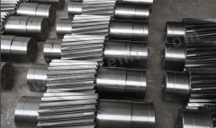 欧吉多 齿轮轴 XGZ53G.2-1 件 碳钢 53G  