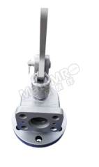 昊顺 提升阀部件 IK-AH/IK-DM3型 B50580-010A 台 1*1*1 材质WCB,900系列  