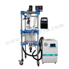 塔尔博伊斯 数显超声波提取机 TS210968 台 220V 20~1200W  