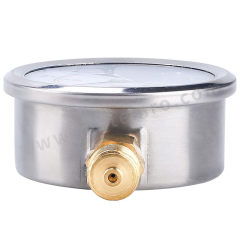 伊莱科 侧装耐震压力表 Y-60BF 个  