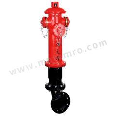 天顺 消火栓 TS-SS110 个 金属 DN100mm  