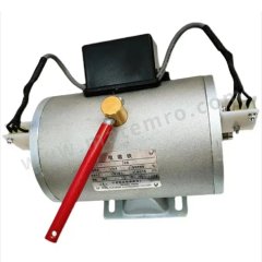 磁飞龙 电磁线圈 DZS165-L 个 铜 22A 电磁悬挂除铁器  