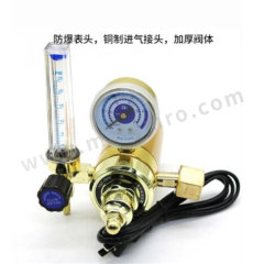 永固 二氧化碳气体表 YG-XD-936 块  