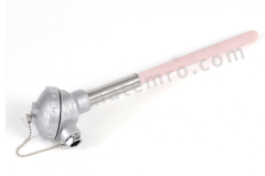 欧吉多 热电偶 WZPN-231 Pt100 L=450 l=300 M33×2 立方米 0.1 接触式 读数式  