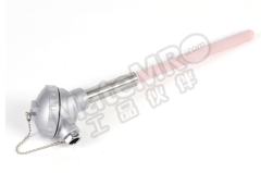 欧吉多 热电偶 WZPN-231 Pt100 L=450 l=300 M33×2 立方米 0.1 接触式 读数式  